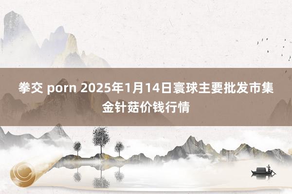 拳交 porn 2025年1月14日寰球主要批发市集金针菇价钱行情