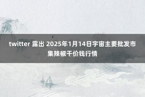 twitter 露出 2025年1月14日宇宙主要批发市集辣椒干价钱行情