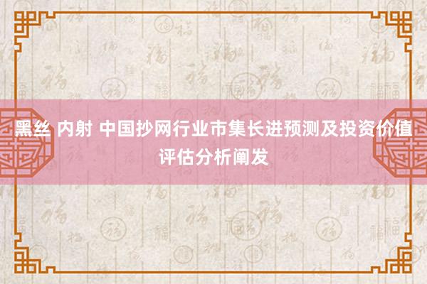 黑丝 内射 中国抄网行业市集长进预测及投资价值评估分析阐发