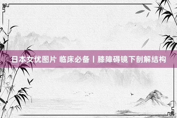 日本女优图片 临床必备丨膝障碍镜下剖解结构